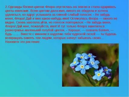 Смысл названия цветок на земле