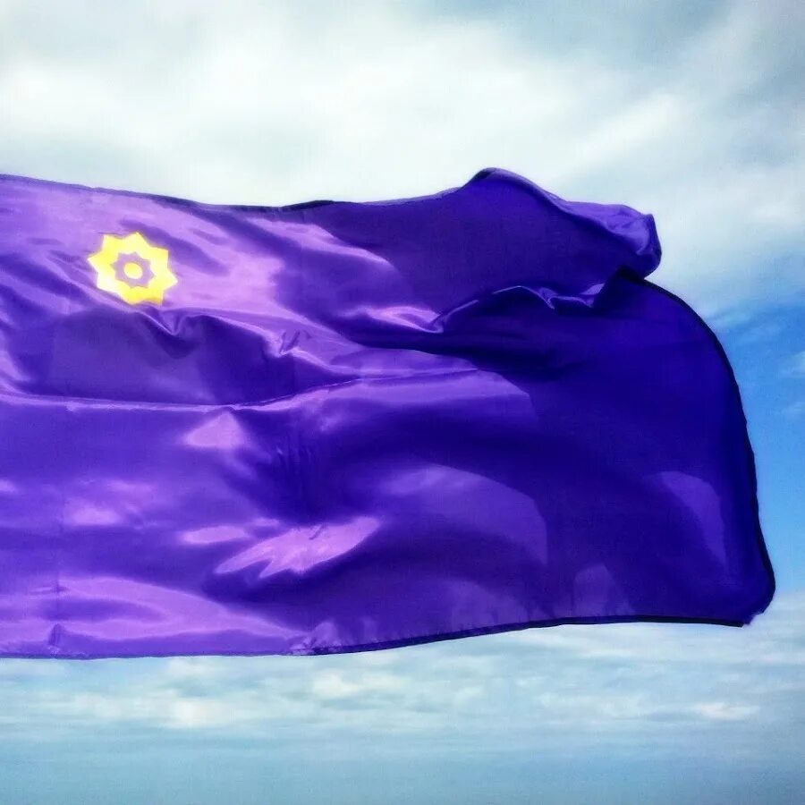 Серо фиолетовый флаг. Флаг Евразийского Союза. Евразийский фиолетовый флаг. Флаг Евразии Дугин. Флаг ЕАЭС фиолетовый.