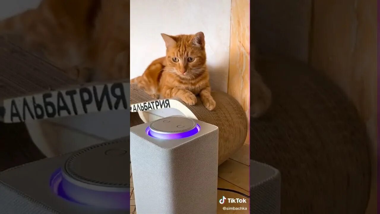 Видео песни симбочки