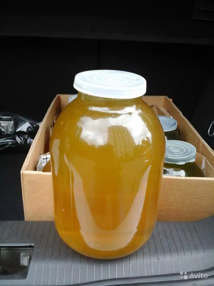 Купить 3 литровую банку меда. Башкирский мед 3 литра. Мёд натуральный. Мед Башкирский натуральный 3 литра. Мед дешевый.