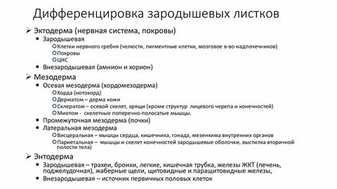 Зародышевая дифференцировка