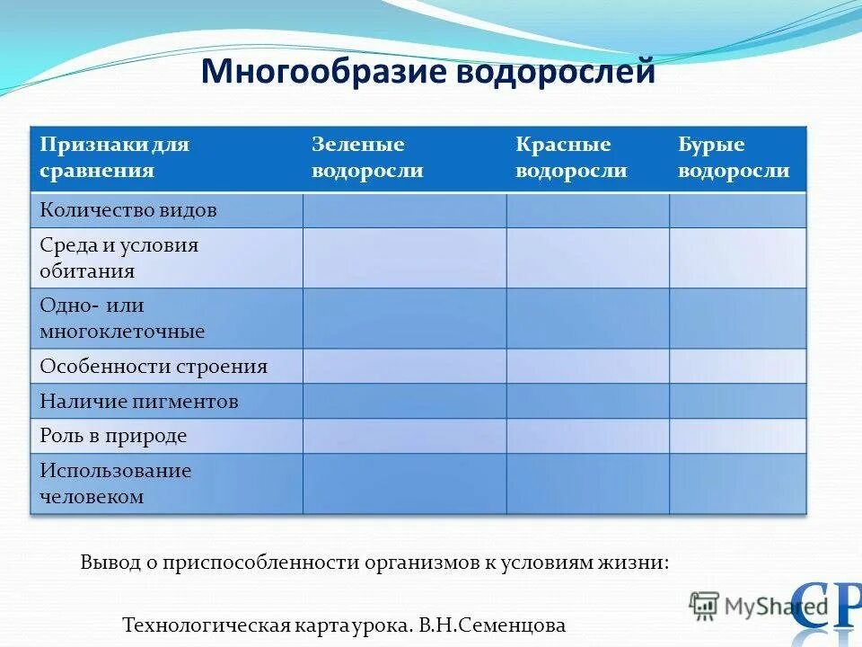 Заполните таблицу водорослей. Разнообразие водорослей таблица. Многообразные водоросли таблица. Таблица по биологии многообразие водорослей. Многообразие водорослей таблица 6 класс.