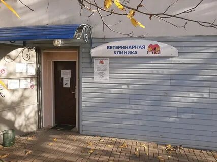 Ветсемья ветеринарная отзывы