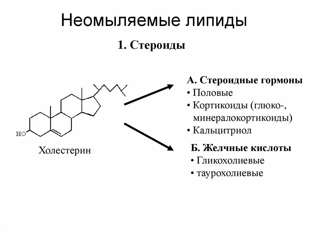 Неомыляемые липиды изопреноиды. Холестерин неомыляемые липиды. Стероиды липиды. Липиды классификация и функции.