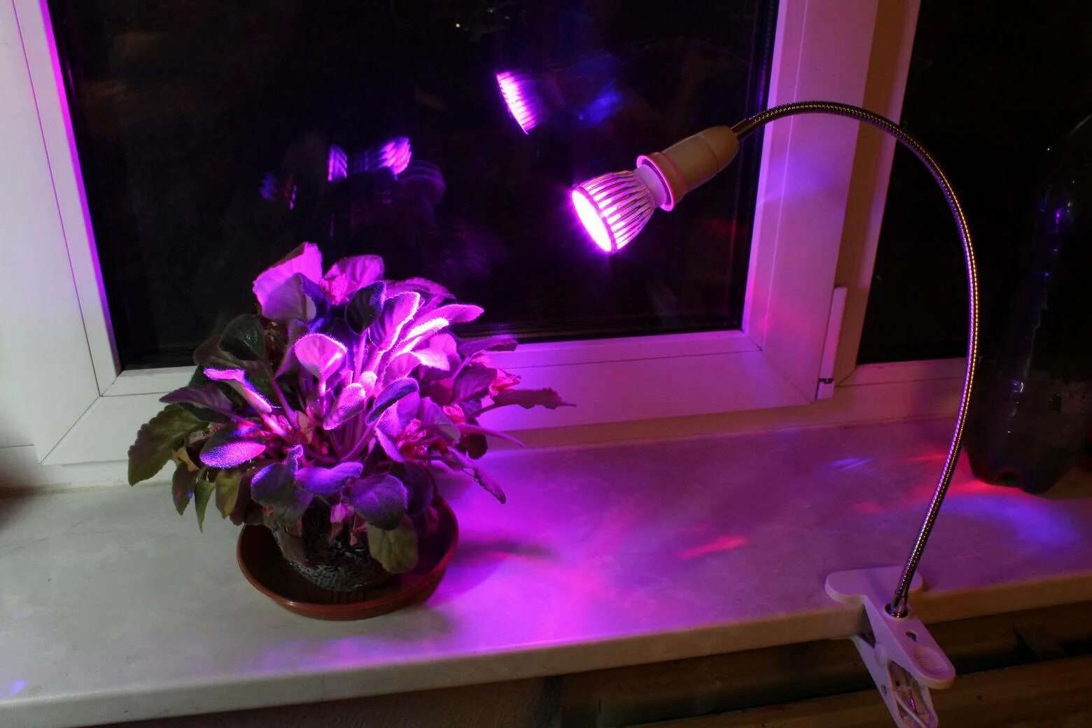 Фитолампа для растений вредна для человека. Фитолампа весна-80w. фитолампа &quot;весна - 50 w&quot;. фитолампа &quot;весна - 10 w&quot;. фитолампа &quot;весна - 15 w&quot;.