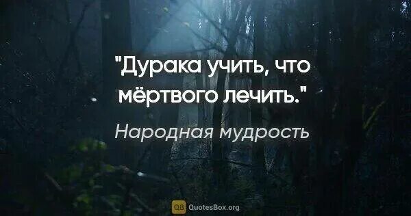 Дурака учить что мертвого лечить. Цитаты про дураков. Цитата про дурака и мудреца. Мудрость про дураков.