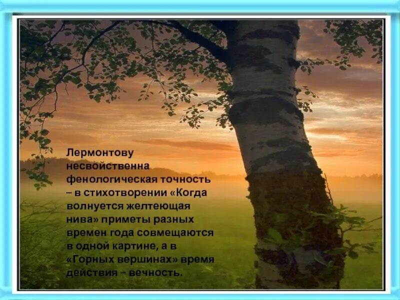 Стих желтеющие нивы. Желтеющая нива лермонтов. стих когда волнуется желтеющая нива. волнуется желтеющая нива лермонтов стих. желтеющая нива лермонтов стих.