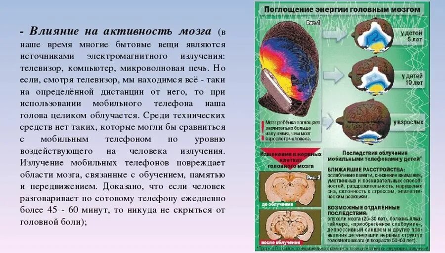 Влияние электромагнитного излучения на мозг человека. Влияние сотового телефона на мозг. Влияние телефона на головной мозг. Влияние сотового телефона на мозг человека. Влияет ли телефон на память