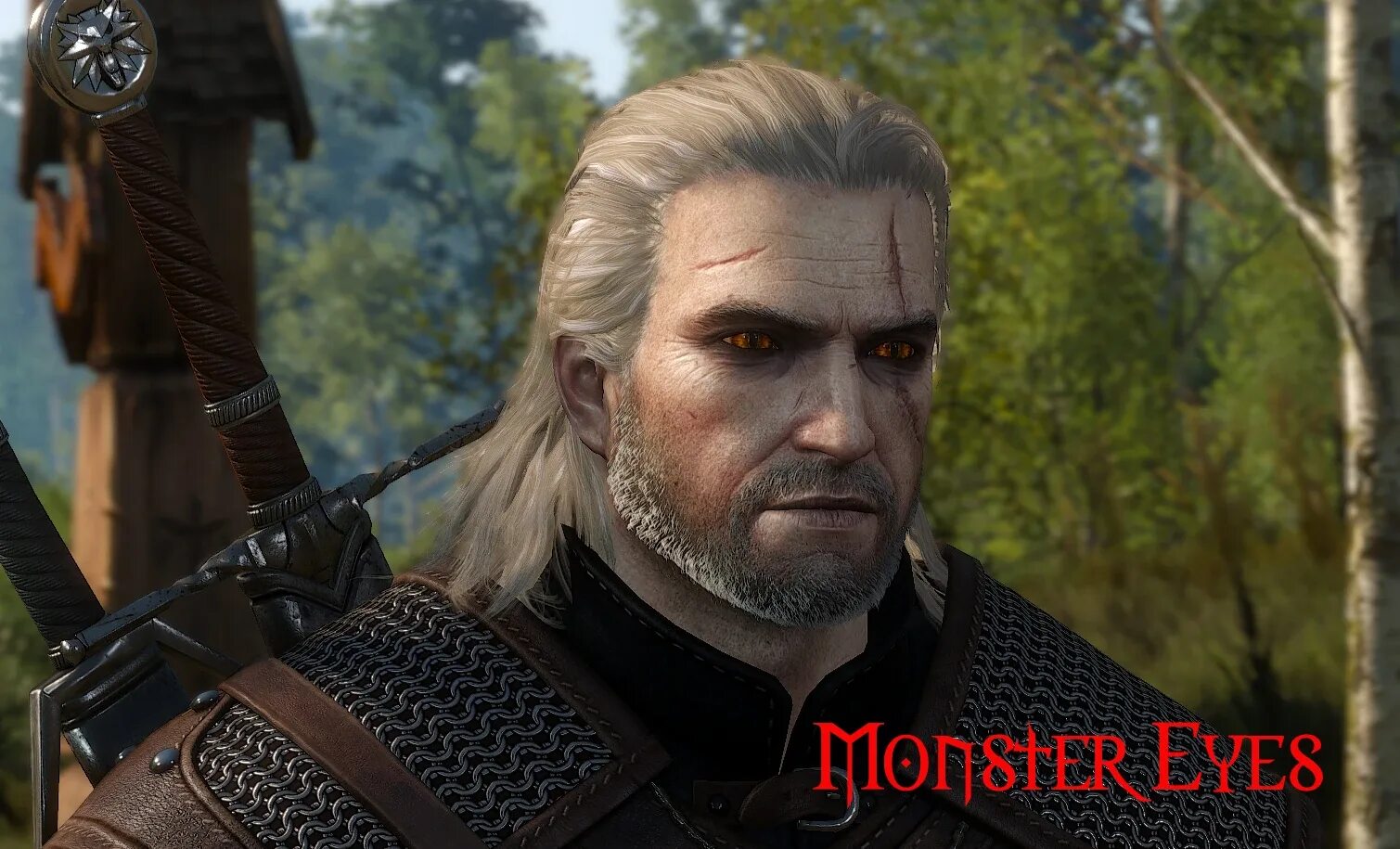 Ведьмак 3 очки. Witcher 2 geralt face. witcher 3 witcher 2 geralt face. волкодав и геральт. ведьмак 3 face geralt.