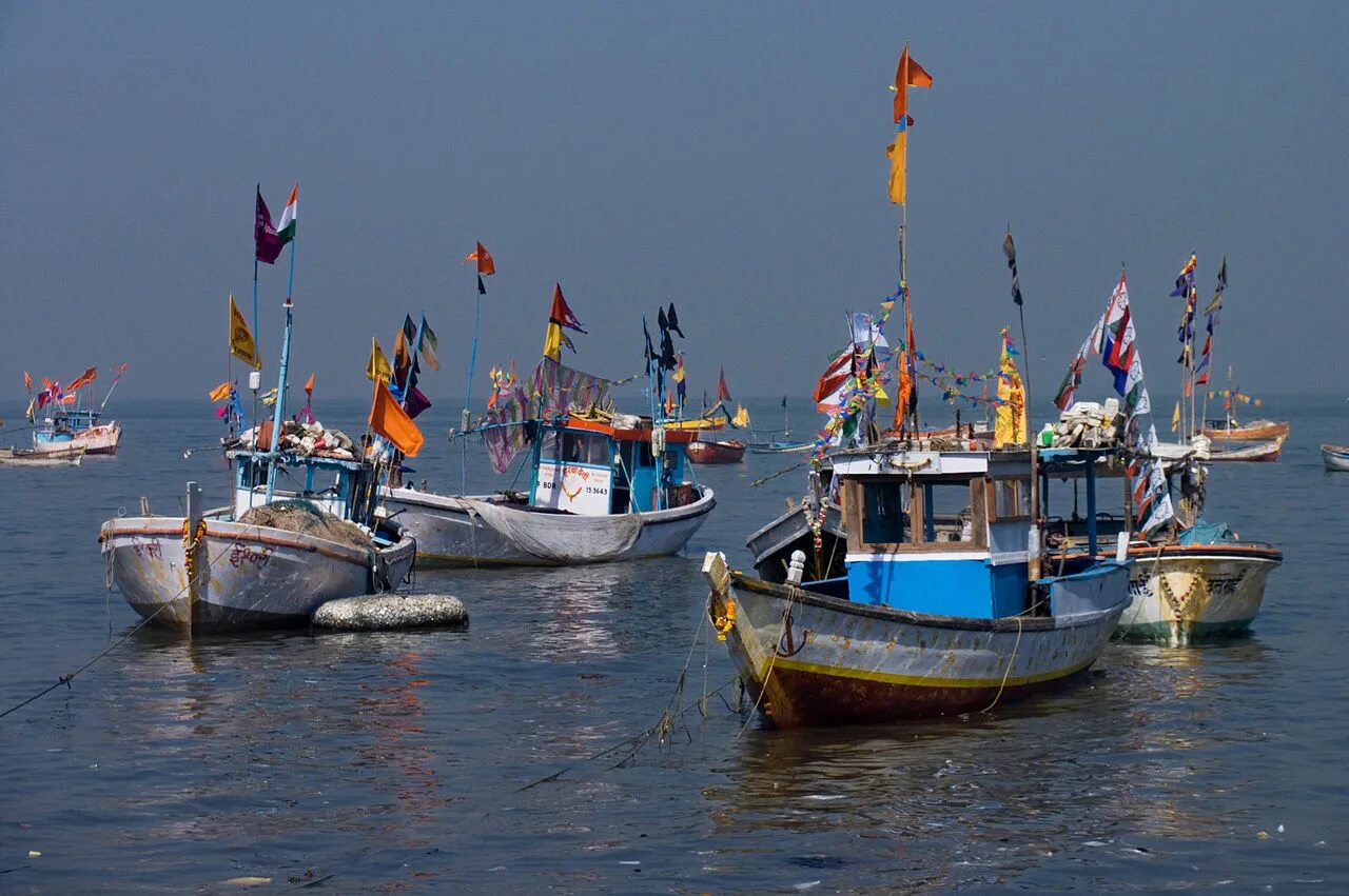 Рыболовство в Индии. Рыболовство в индийском океане. Рыбаки в Индии. Рыбный промысел индийский океан. Мировой улов