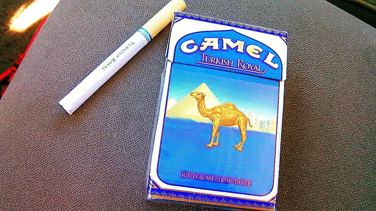 Роял компакт. Сигареты Camel Compact 100. Сигареты Camel Compact Blue. Сигареты кэмел компакт желтый. Кэмел желтый кэмел сигареты.