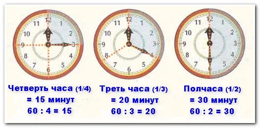 320 минут это сколько. Четверть и половина часа. Четверть и половина в часах. Четверть часа это сколько. Часов четверть третьего.