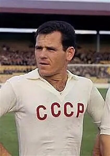 Йожеф йожефович сабо. Футболист йожеф сабо. футболист йожеф сабо википедия. йожеф сабо в молодости. йожеф йожефович сабо с женой.