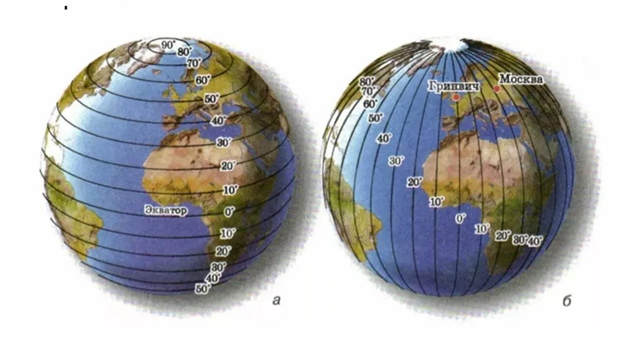 Глобус параллели и меридианы градусная сетка. Глобус меридианы параллели Экватор. Меридиан параллель полюс Экватор на глобусе. Экватор Меридиан параллель.