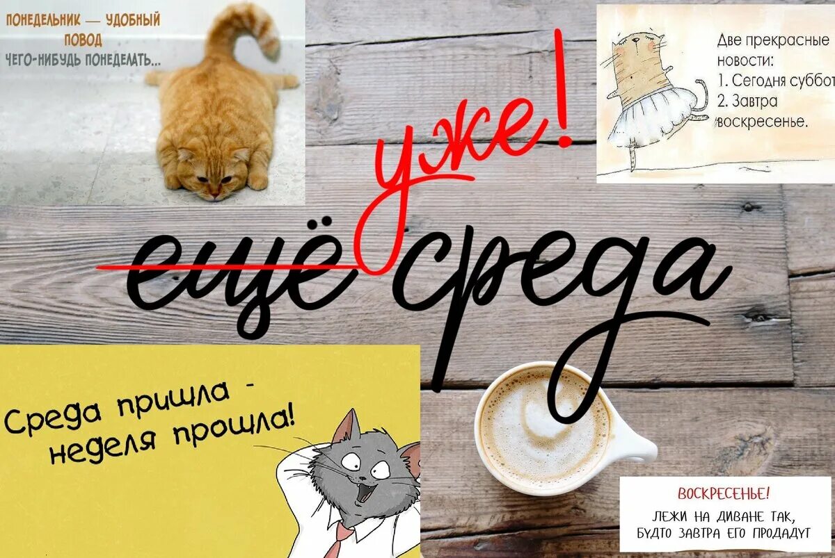 Среда это маленькая пятница прикольные. Среда это маленькая картинки прикольные. Среда-это маленькая. Среда это маленькая картинки прикольные. Среда маленькая пятница картинки.