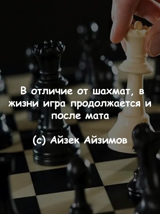 Никто играй дальше. Афоризмы про шахматы. Жизнь игра цитаты. Фразы про игру и жизнь. Высказывания о шахматах.