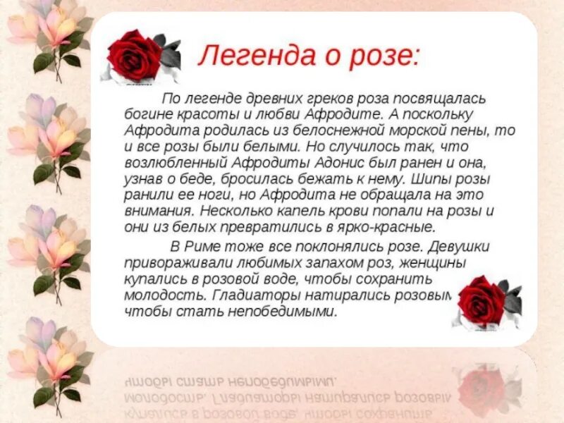 Почему розу назвали розой. Легенда о Розе. Легенда о Розе цветке. Описание цветка розы. Легенда о Розе для детей.