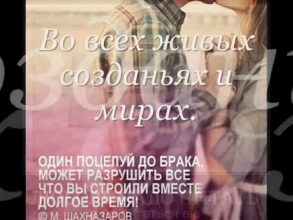 Книга люби но не рань