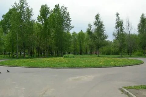 Парк рабочий поселок