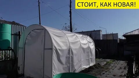 Сайт сибирские чудо теплицы