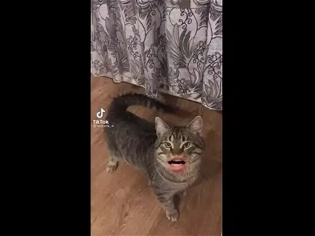 Видео я уже свое отбоялся. Я уже своё отбоялся. Димон пахую мем. Отбоялся отплакался прикол. Димон пахую мем.