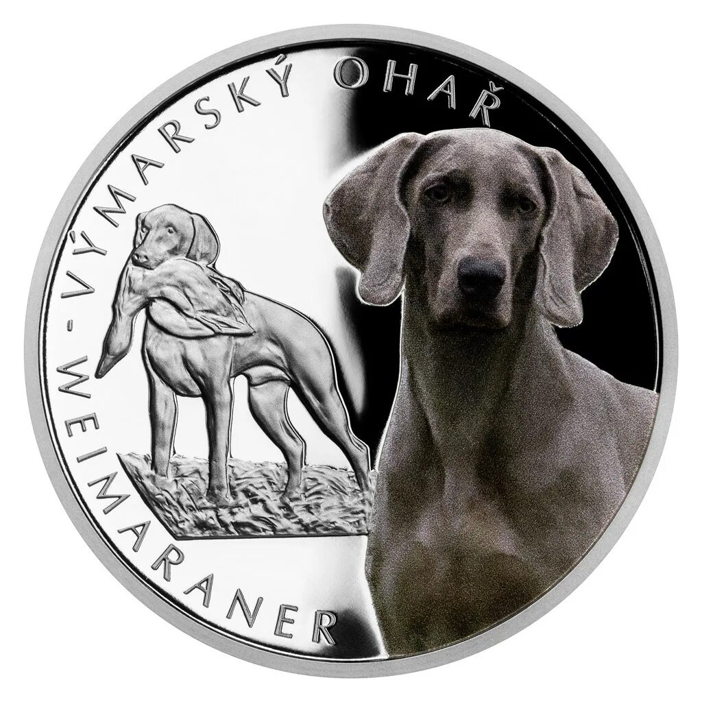 Bendog монета. Монеты с таксой. Монета порода собак. Монета немецкая овчарка. Знаменитые породы собак монеты.