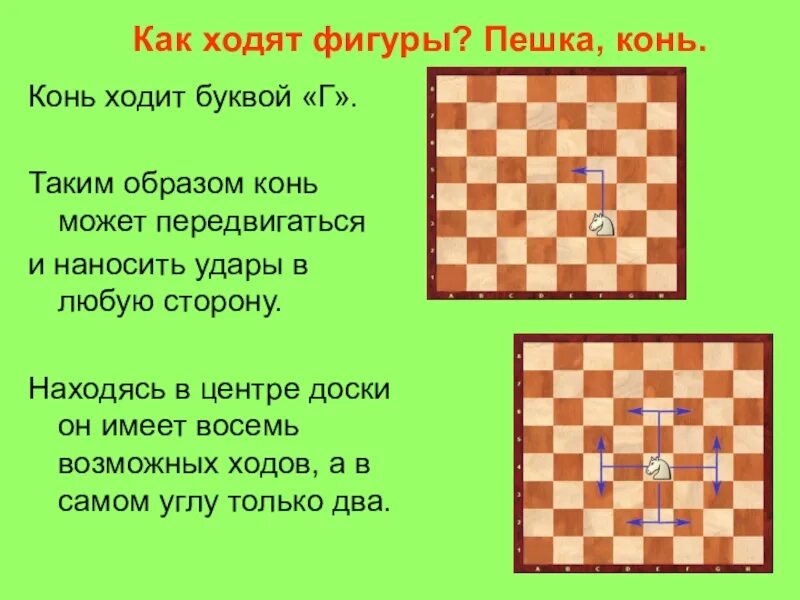 Могут ли шахматы рубить назад. Как ходит конь. Как ходит конь в Шахматов. Как ходить. Шахматы как ходит конь в шахматах.