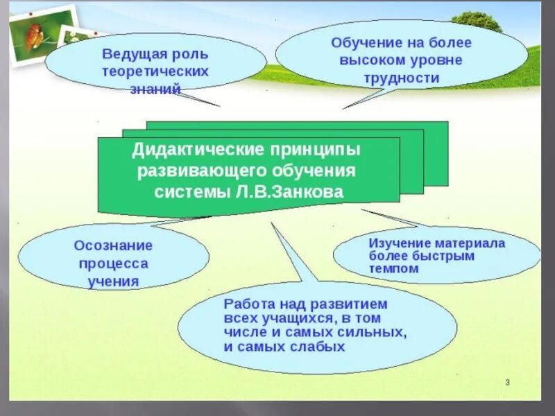 Технология развивающего обучения схема. Принципы развивающей системы Занкова. Дидактические принципы системы Занкова. Принципы развивающего обучения л.в Занкова. Развивающие дидактические принципы