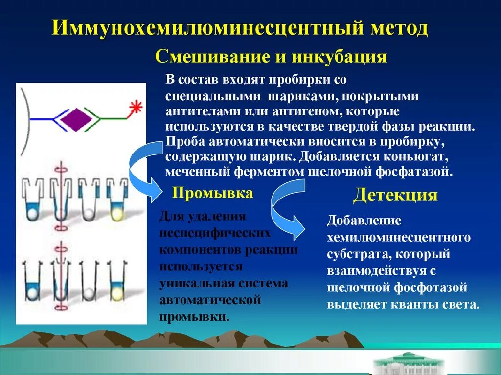 Метод ме. Метод исследования иммунохемилюминесцентный. хемилюминесцентный анализ. хемилюминесцентные методы. электрохемилюминесцентный метод.