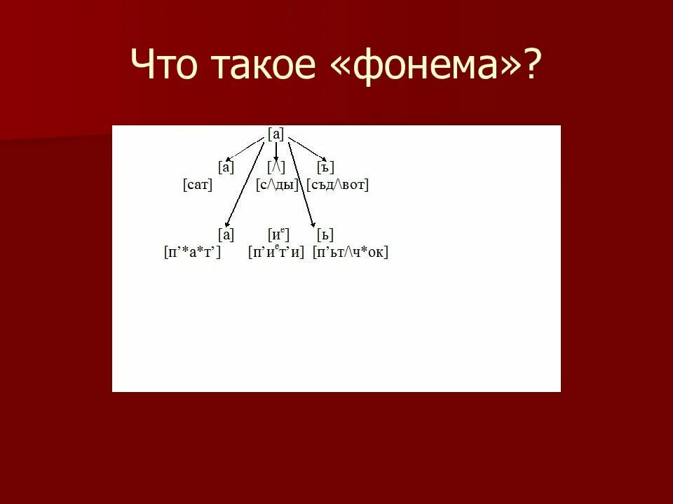 Фонема это. Фонема пример. Звук и фонема. Фонема и звук различия примеры. Звуки речи фонема