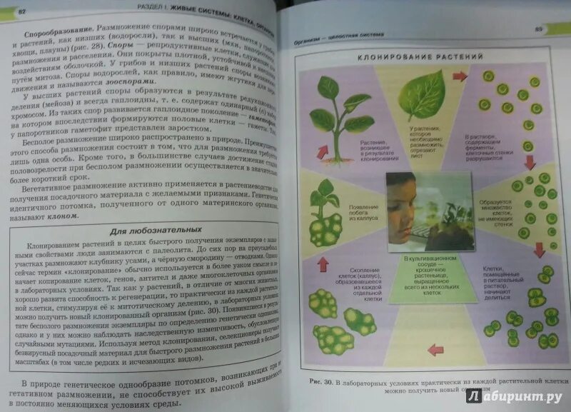 Общая биология 9 класс темы. Биология сивоглазов плешаков 9 класс. Учебник основы биологии и. Задания 9 кл биология пасечник. Биологические науки 5 класс биология таблица.