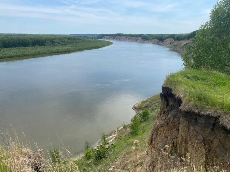 Село красный яр кривошеинского района. Кривошеино Томская область. Поселок красный Яр Томская область Кривошеинский район. Кривошеино Томская область река. Обрывы на Оби.