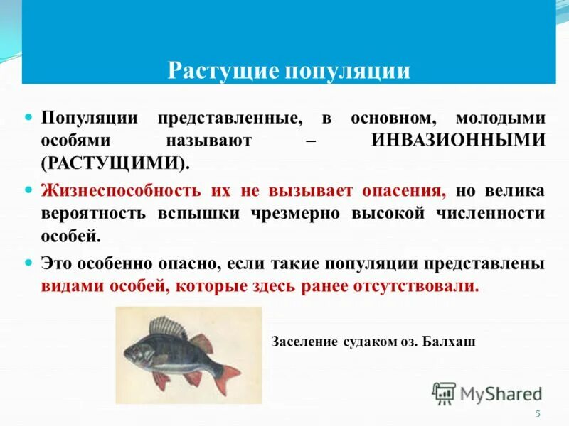 растущая сокращающаяся и стабильная популяции. понятие о клеточных популяциях. растущая популяция. возрастные пирамиды животных. сокращающаяся и стабильная популяция.