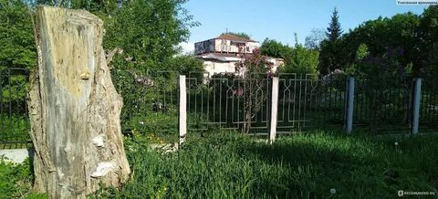 Сады великий новгород