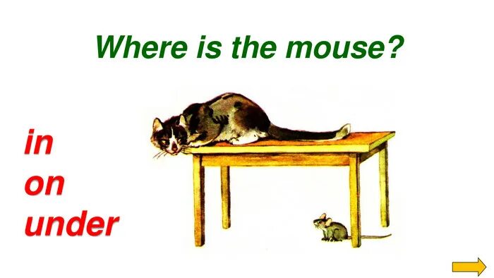 Where is the cat