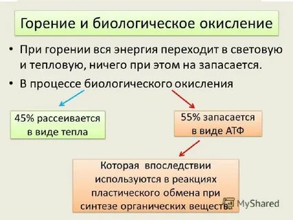 Сравнительная таблица горения и биологического окисления