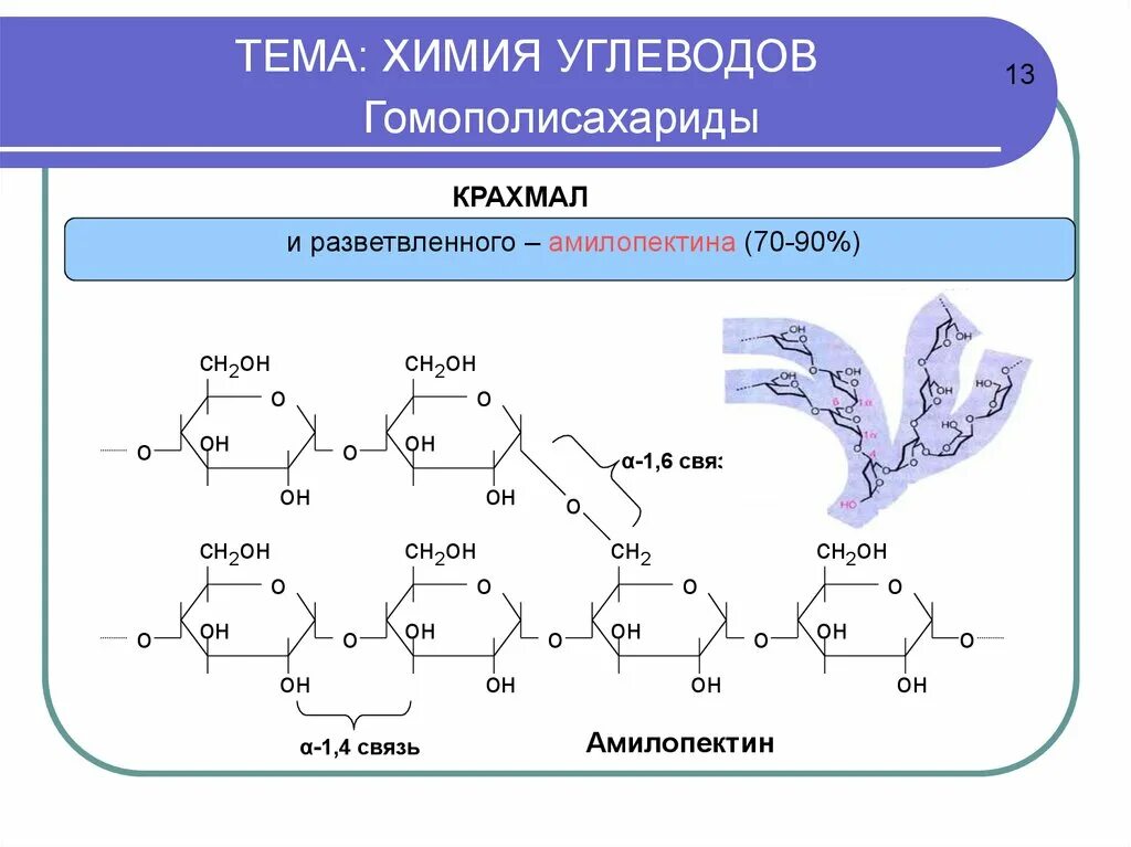 Строение углеводов химия 10 класс. Линейные формулы углеводов. Углеводы химия формулы. Химическая формула углеводов.