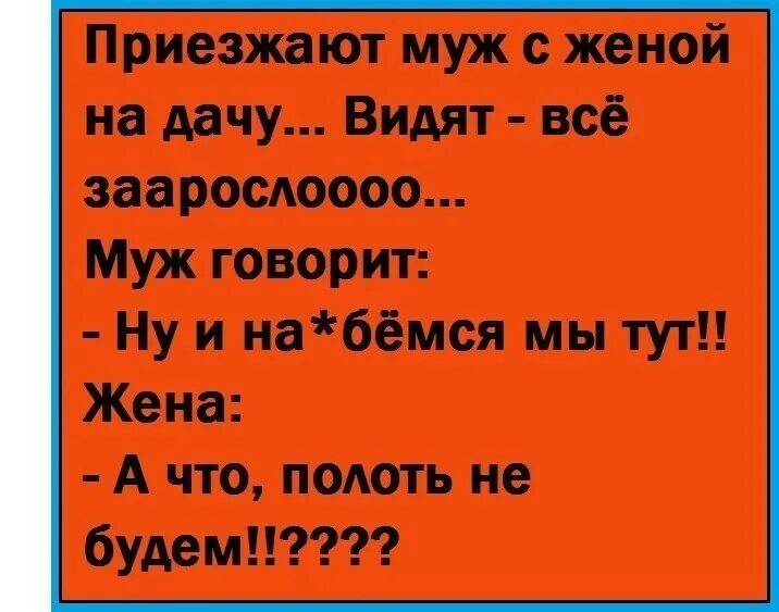 Анекдоты про мужа и жену смешные. Приезжают муж с женой на дачу. Шутки про мужа. Анекдот приехали муж с женой на дачу. Жене звонить не буду