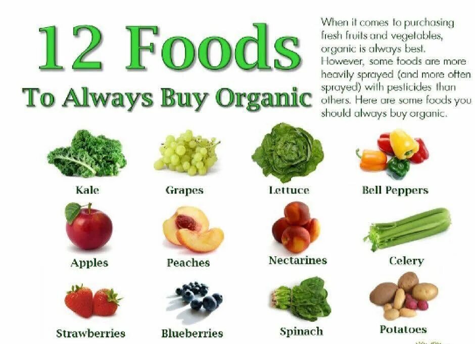 And many other products of. Organic food. organic food название. organ food. organic and non organic food.