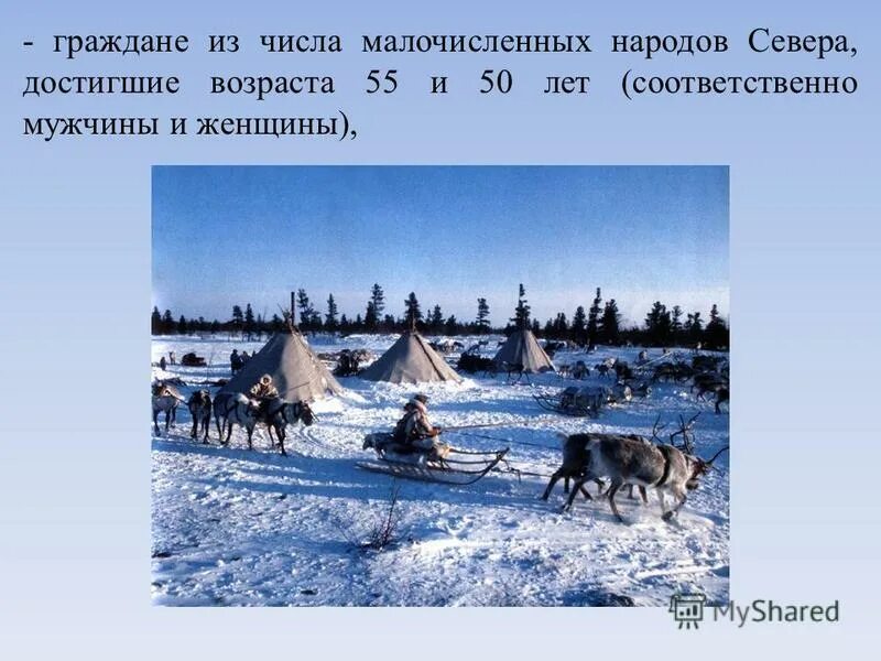 категории пенсий. социальная пенсия. меры социальной поддержки в янао. малочисленные народы севера пенсия. чукотка летом.