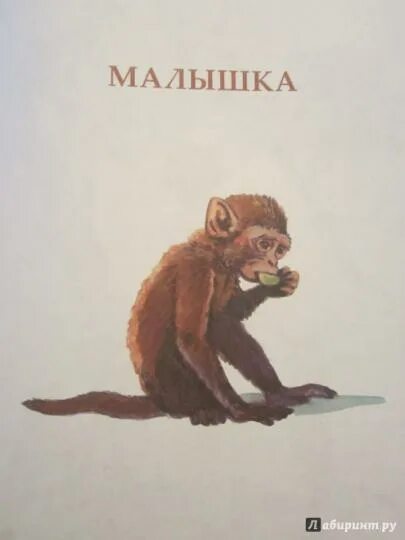 Книга мои питомцы чаплина. Чаплина малышка. Малышка чаплина. Чаплина малышка. Чаплина в.