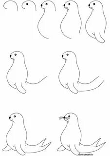 Рисовать морских котиков