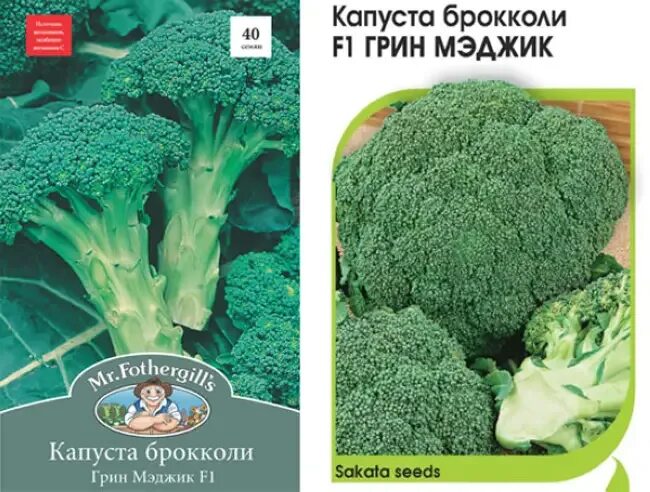 Капуста брокколи в сибири. Брокколи Грин Мэджик f1. Капуста брокколи Грин Мэджик. Семена брокколи Грин Мэджик. Брокколи Грин Мэджик f1 голландские.