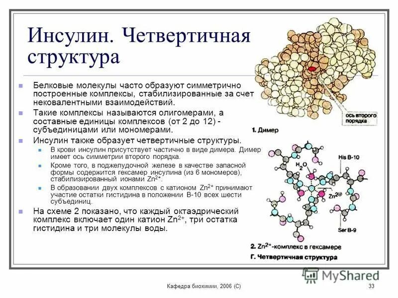 2 строение ферментов