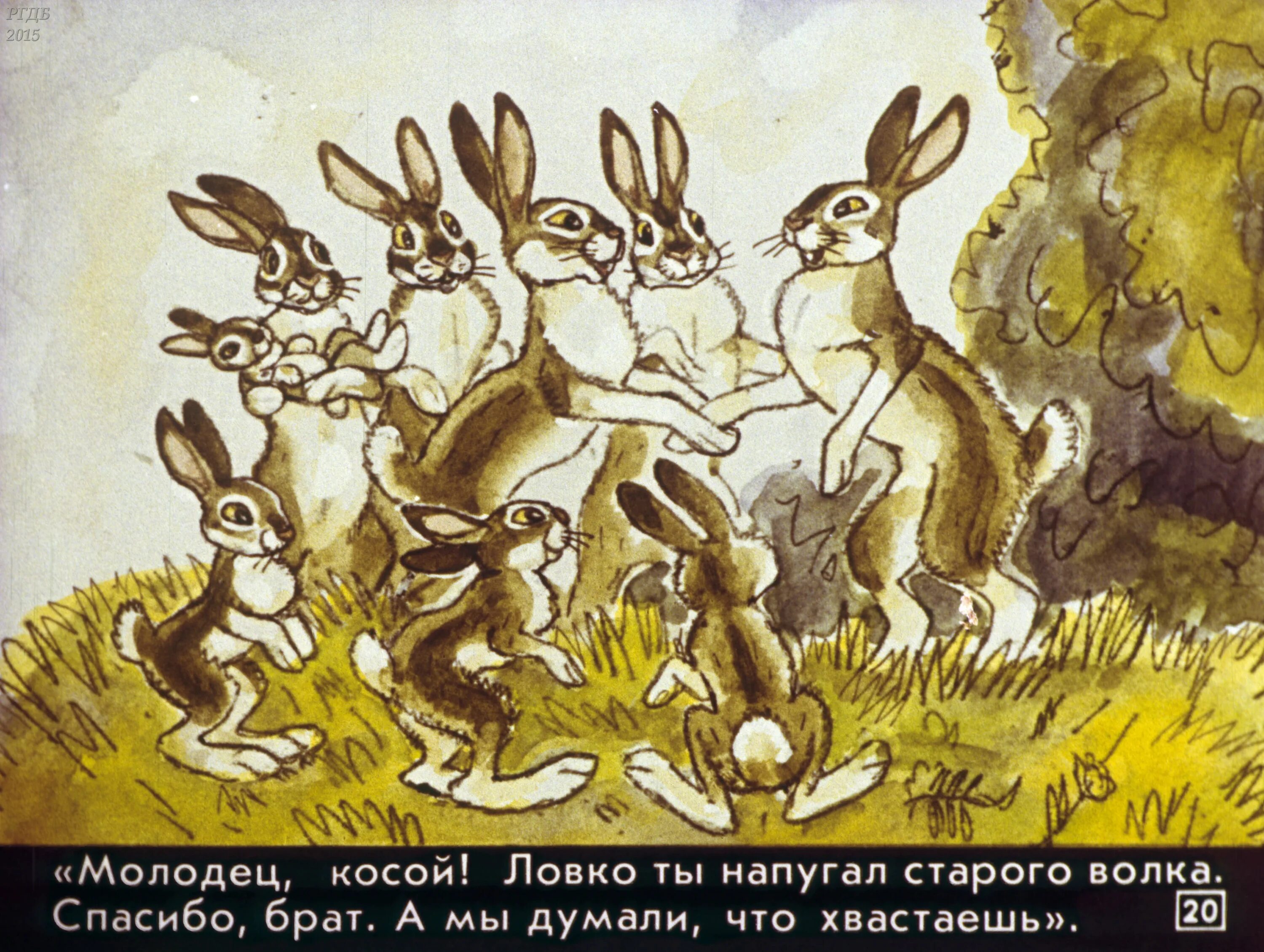Заяц косые глаза длинные уши короткий хвост. Храбрый заяц мамин Сибиряк. Мамин-Сибиряк заяц-хвастун. Иллюстрация к сказке Мамина Сибиряка про храброго зайца. Сказка про зраброго ЗАЙЦ.