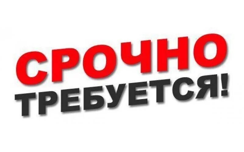 Срочно нужны сотрудники