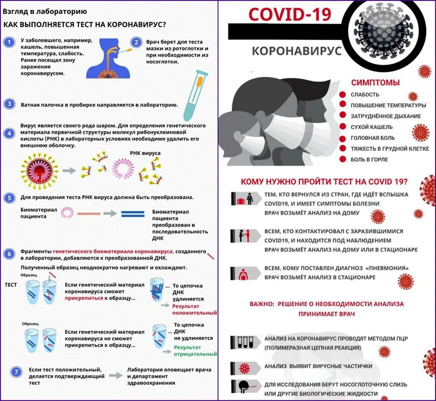 Тест на коронавирус. Тесть на картона виррус. Как сдаётся тест на коронавирус. Выявления коронавируса
