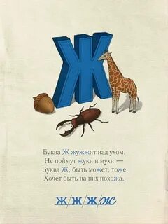 Ев ж