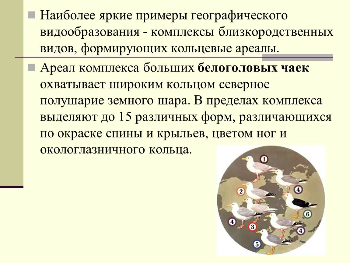 Результатом является репродуктивная изоляция и видообразование. Географическое видообразование примеры. Кольцевое видообразование. Приведите примеры географического видообразования.. Кольцевые ареалы.