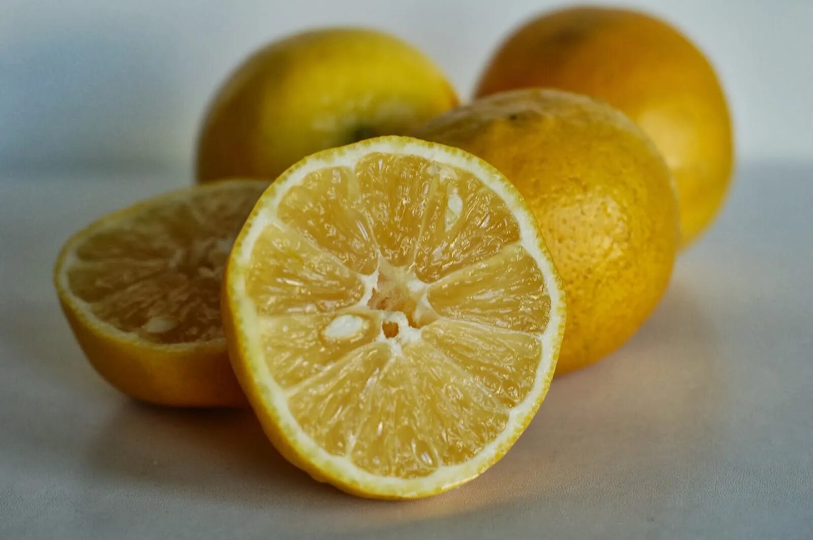 Sweet lemon. Сладкий лимон. Сорта Лимонов. Американский лимон. Морской лимон.
